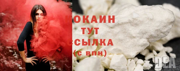стаф Краснослободск
