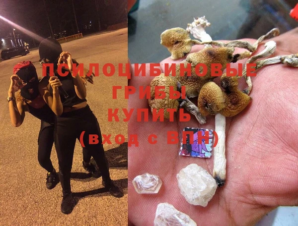 стаф Краснослободск