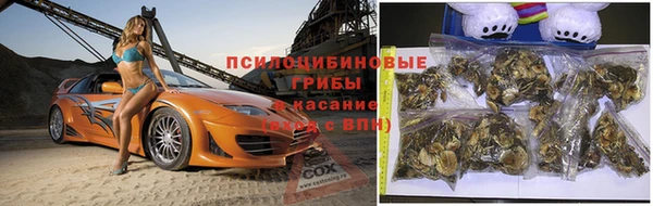 a pvp Красноперекопск