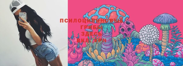 стаф Краснослободск