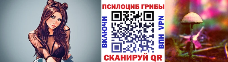 Псилоцибиновые грибы Psilocybe  Купить закладки  Ленск 